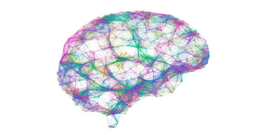 What Is The Endocannabinoid System?