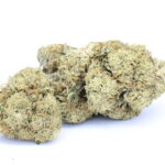 Candy Kush BB CBD Blüten Produktbild