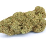 Limoncello CBD Blüten Produktbild
