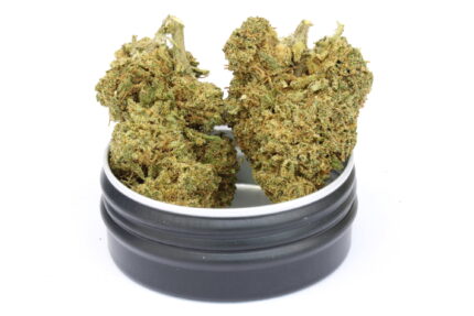 Limoncello CBD Blüten Produktbild