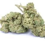 Candy Kush BB CBD Blüten